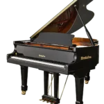 Piano Rent In Delhi For Event Wedding & Concert